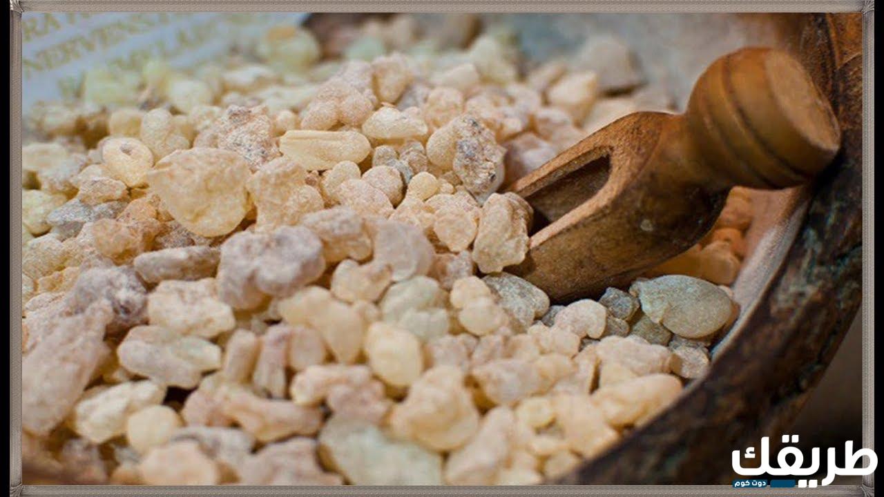 تجربتي مع شرب منقوع لبان الذكر على الريق يومياً 3 825048394000081